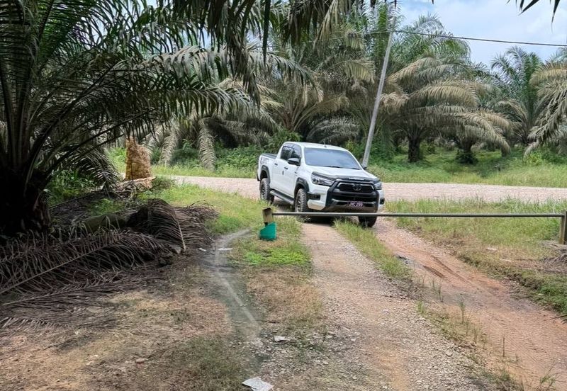 Kulai Felda Inas Oil Palm Land For Sale