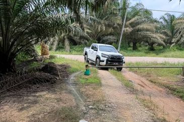Kulai Felda Inas Oil Palm Land For Sale