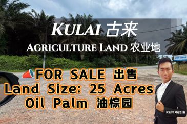 Kulai Felda Inas Oil Palm Land For Sale