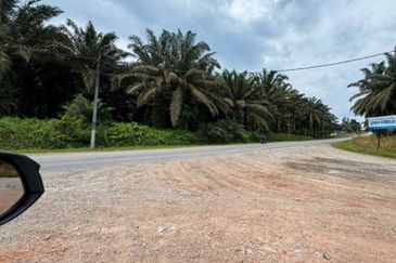 Kulai Felda Inas Oil Palm Land For Sale