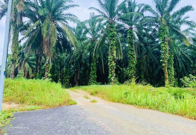 Gelang Patah MEDIUM Industry Land For Sale 