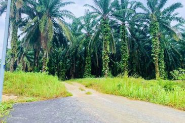Gelang Patah MEDIUM Industry Land For Sale 