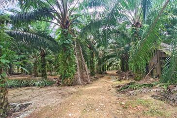 Jalan Pulai Mesra 17