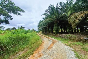 Jalan Pulai Mesra 17