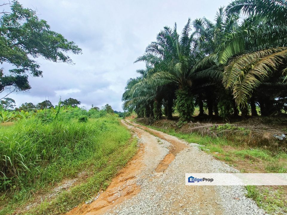 Pulai Zon RESIDENTIAL Land For Sale , Johor, Kangkar Pulai