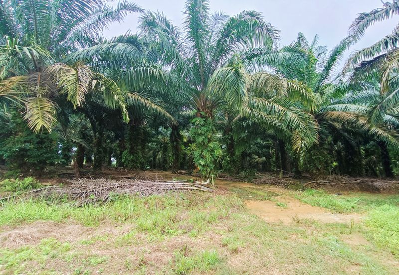 Jalan Pulai Mesra 17