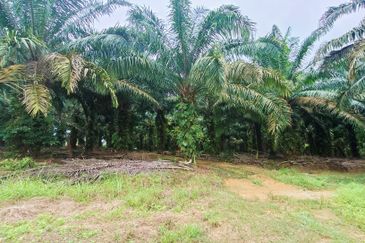 Jalan Pulai Mesra 17