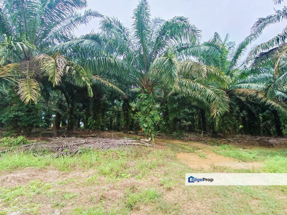 Pulai Zon RESIDENTIAL Land For Sale , Johor, Kangkar Pulai