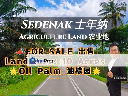 Sedenak Layang-layang Oil Palm Land For Sale, Johor, Kulai