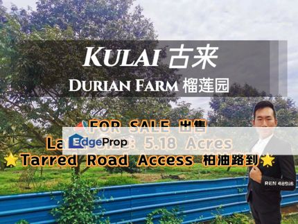 Kulai Durian Farm For Sale, Johor, Kulai