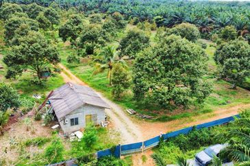Kulai Durian Farm For Sale