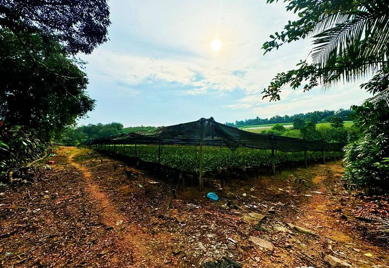 Taman Perindustrian Desa Cemerlang