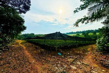 Taman Perindustrian Desa Cemerlang