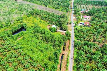 Pontian Road Side  Agriculture Land For Sale 