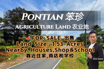 Pontian Road Side  Agriculture Land For Sale 