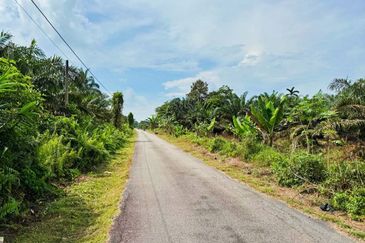 Pontian Road Side  Agriculture Land For Sale 