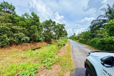 Pontian Road Side  Agriculture Land For Sale 
