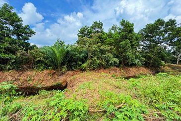 Pontian Road Side  Agriculture Land For Sale 
