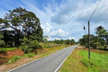 Pontian Road Side  Agriculture Land For Sale 