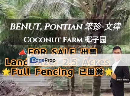 Pontian Benut Coconut Farm For Sale, Johor, Pontian