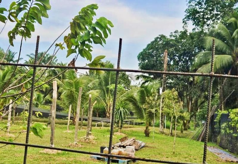 Pekan Nanas Industrial