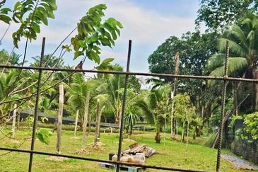 Pekan Nanas Industrial