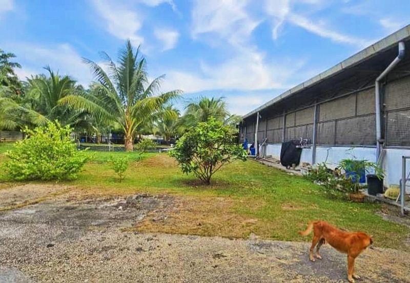 Pekan Nanas Industrial