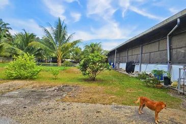 Pekan Nanas Industrial