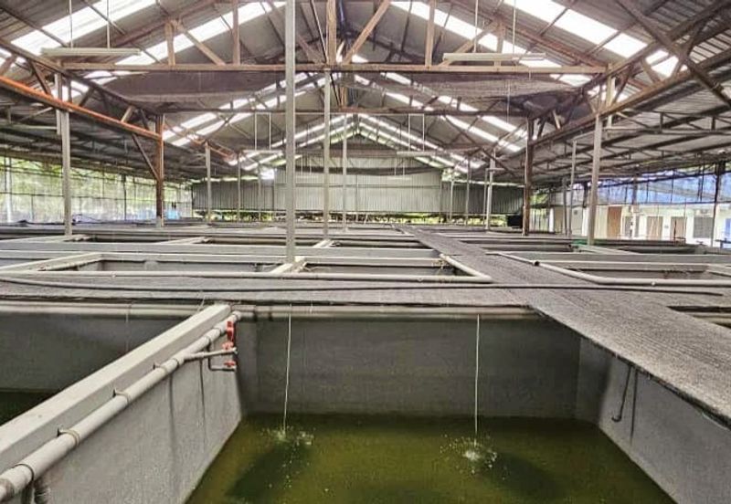 Pekan Nanas Industrial