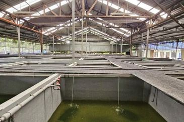 Pekan Nanas Industrial