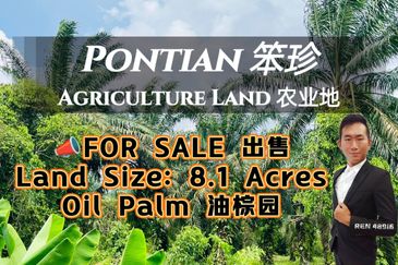 Pontian Oil Palm Land For Sale 