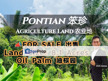 Pontian Oil Palm Land For Sale , Johor, Pontian