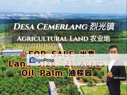 Desa Cemerlang Oil Palm Land For Sale , Johor, Ulu Tiram