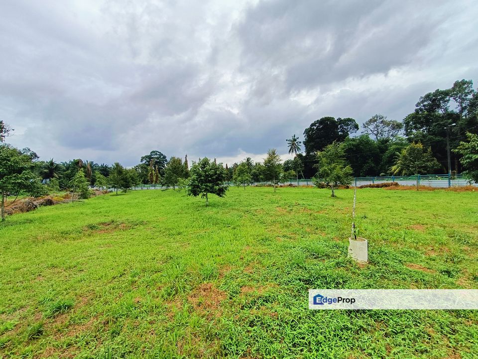 Kukup Zon Residential Durian Farm For Sale , Johor, Pontian