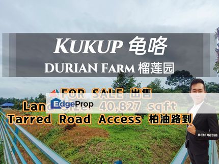 Kukup Zon Residential Durian Farm For Sale , Johor, Pontian