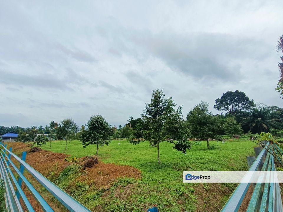 Kukup Zon Residential Durian Farm For Sale , Johor, Pontian