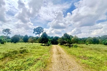 Pontian MAIN ROAD Durian Farm For Sale