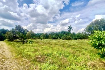 Pontian MAIN ROAD Durian Farm For Sale