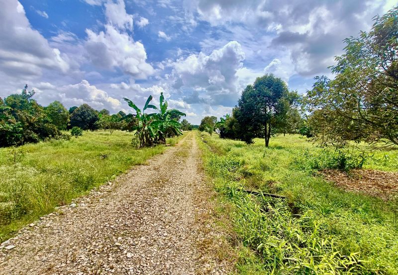 Pontian MAIN ROAD Durian Farm For Sale