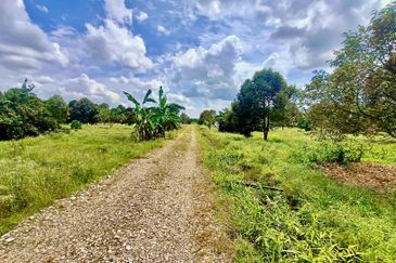 Pontian MAIN ROAD Durian Farm For Sale