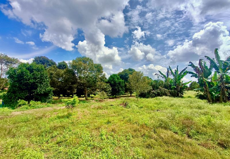 Pontian MAIN ROAD Durian Farm For Sale