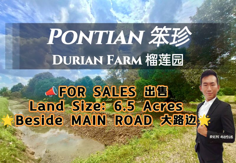 Pontian MAIN ROAD Durian Farm For Sale