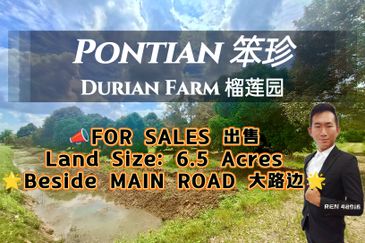 Pontian MAIN ROAD Durian Farm For Sale