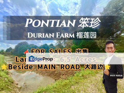 Pontian MAIN ROAD Durian Farm For Sale, Johor, Pontian