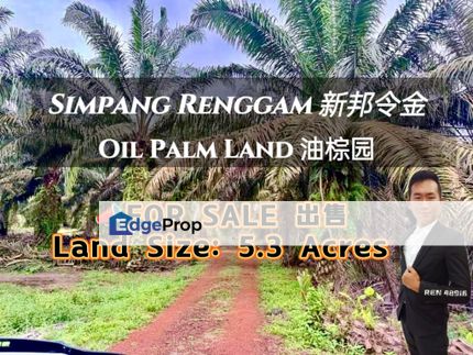 Simpang Renggam Agriculture Land For Sale , Johor, Kluang