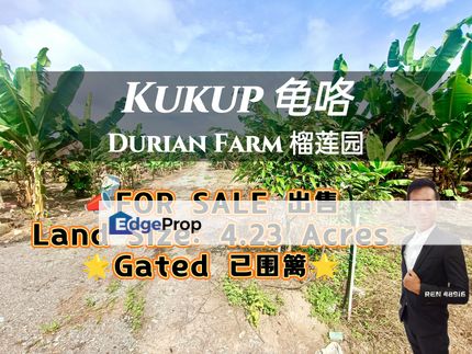 Kukup Durian Farm For Sale, Johor, Pontian