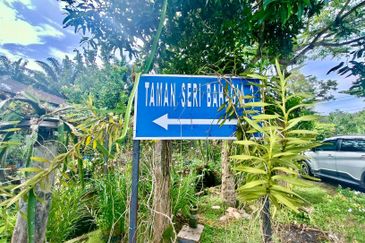 Taman Sri Pekan Nanas