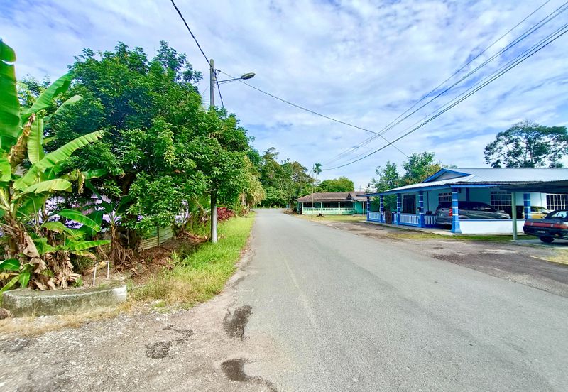 Taman Sri Pekan Nanas