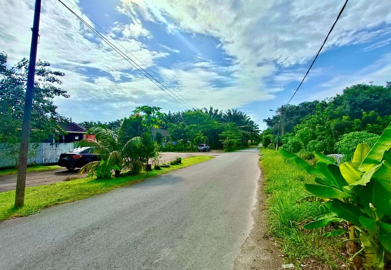 Taman Sri Pekan Nanas