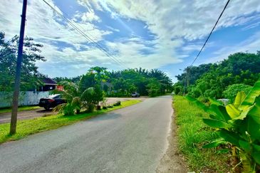 Taman Sri Pekan Nanas